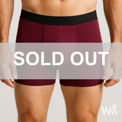 Walter’s Signature Leakproof Boxers Blue